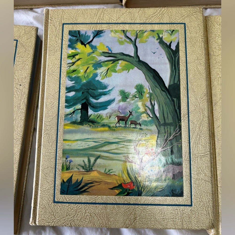 Vintage Americana Edition “The Bookshelf for Boys and Girls” - missing #1 - Picture 6 of 10